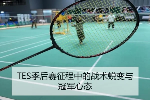TES季后赛征程中的战术蜕变与冠军心态