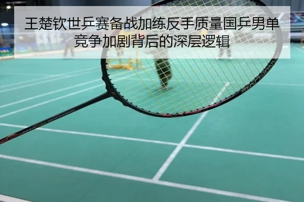 王楚钦世乒赛备战加练反手质量国乒男单竞争加剧背后的深层逻辑