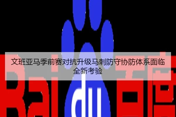 文班亚马季前赛对抗升级马刺防守协防体系面临全新考验