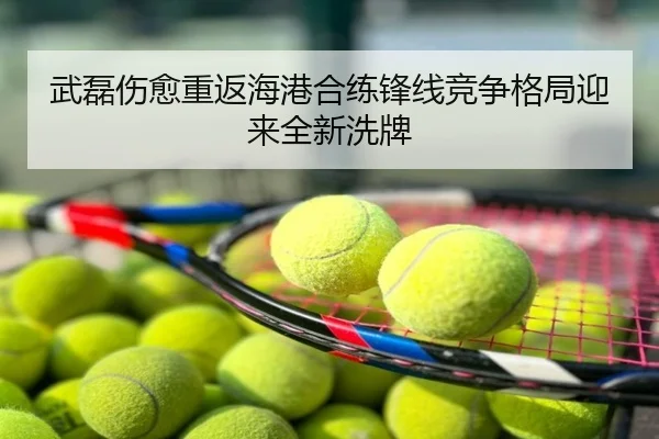 武磊伤愈重返海港合练锋线竞争格局迎来全新洗牌